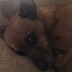 Meet your Posher, Francine